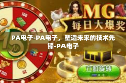 PA电子-PA电子，塑造未来的技术先锋-PA电子