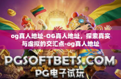 og真人地址-OG真人地址，探索真实与虚拟的交汇点-og真人地址