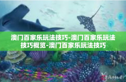 澳门百家乐玩法技巧-澳门百家乐玩法技巧概览-澳门百家乐玩法技巧