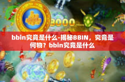 bbin究竟是什么-揭秘BBIN，究竟是何物？bbin究竟是什么