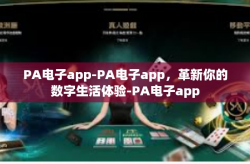 PA电子app-PA电子app，革新你的数字生活体验-PA电子app