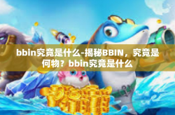 bbin究竟是什么-揭秘BBIN，究竟是何物？bbin究竟是什么