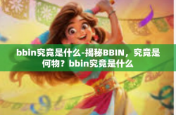 bbin究竟是什么-揭秘BBIN，究竟是何物？bbin究竟是什么