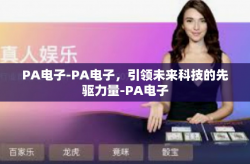 PA电子-PA电子，引领未来科技的先驱力量-PA电子