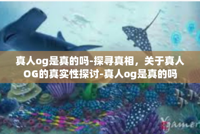 真人og是真的吗-探寻真相，关于真人OG的真实性探讨-真人og是真的吗