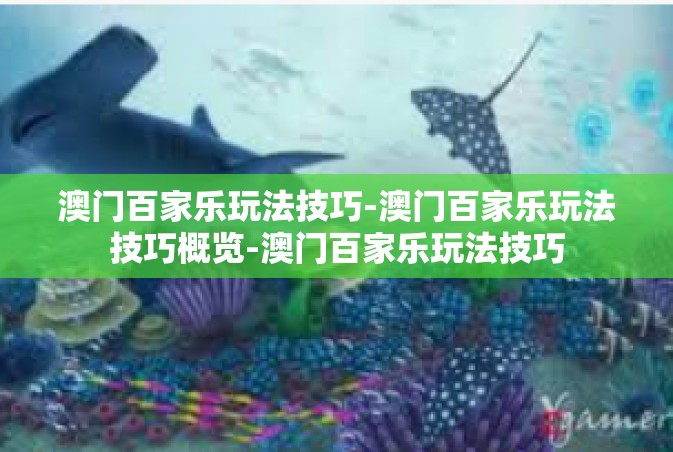 澳门百家乐玩法技巧-澳门百家乐玩法技巧概览-澳门百家乐玩法技巧